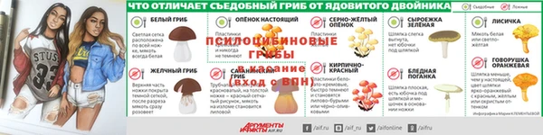круглые Пересвет
