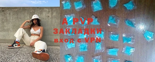 сатива Покров