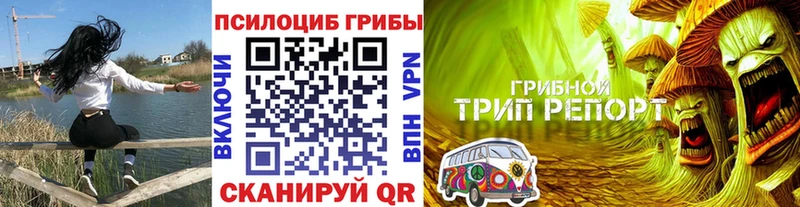 Галлюциногенные грибы мухоморы  купить  сайты  кракен ссылки  Алушта 