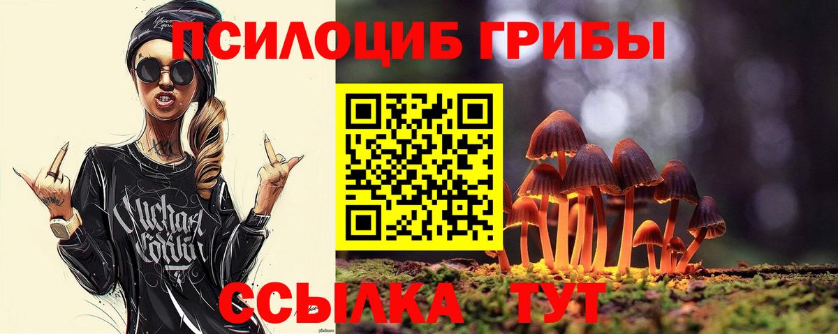 Псилоцибиновые грибы Psilocybe  Псилоцибиновые грибы Magic Shrooms  Алушта 