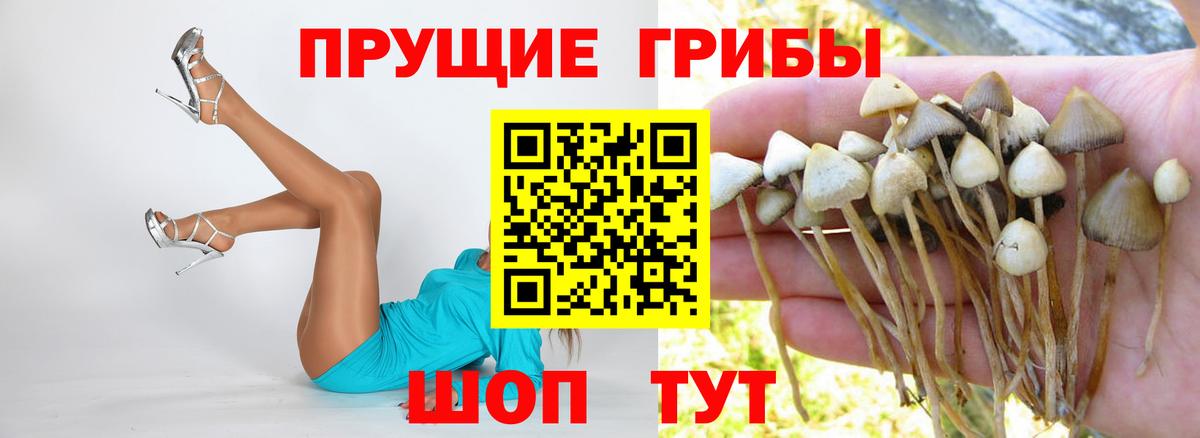 Галлюциногенные грибы мицелий  Вход с VPN  Алушта  Псилоцибиновые грибы прущие грибы 